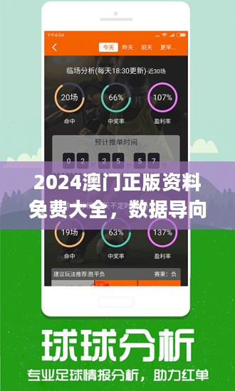 2024新澳门正版免费资本车资料-精选资料解析大全