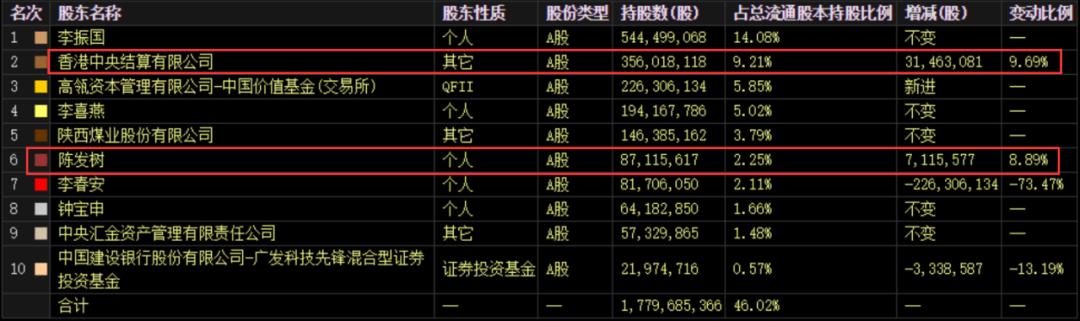 广东朱雀网络有限公司，引领数字时代的网络先锋