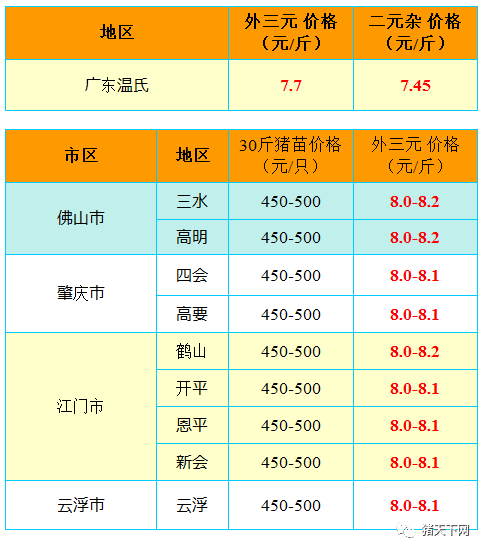 广东省育婴师报价详解