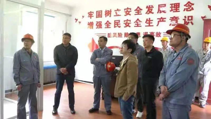 广东省陆丰市通缉犯，深度解析与应对之策