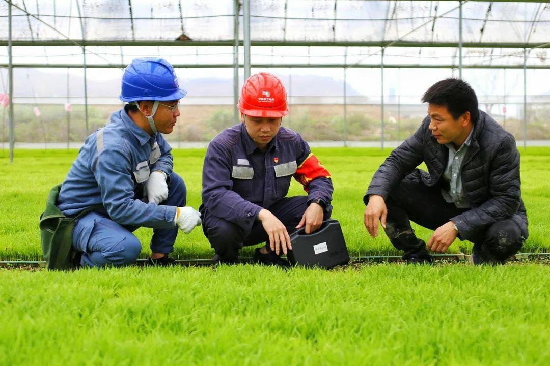 广东电力电子有限公司，引领电力电子产业的前沿力量