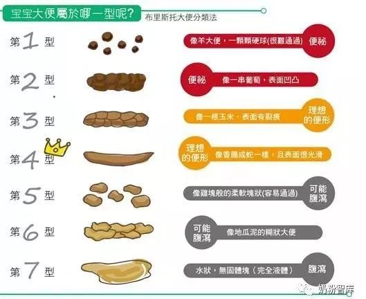 关于17个月宝宝正常大便图的研究与解析